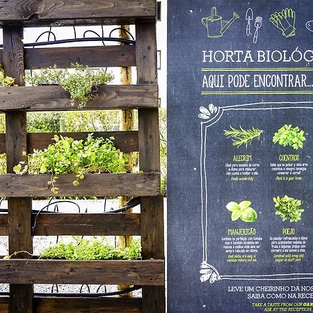 فندق إيبيس بدجت بورتو غايا